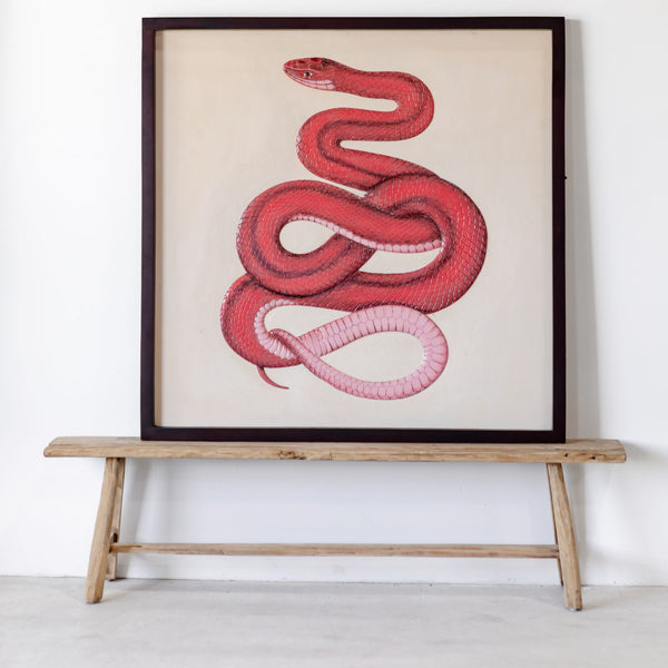 Limited Edition Wall Art — Slinky - Empire Home