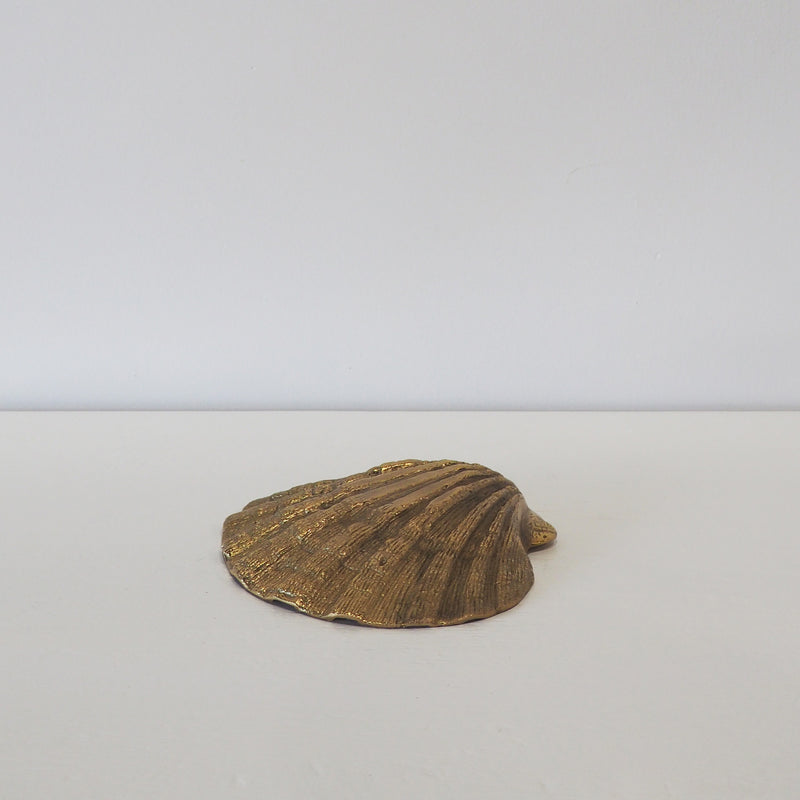 Brass Cockle Shell - Empire Home