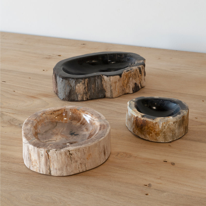 Fossil Asbak Bowl - Empire Home