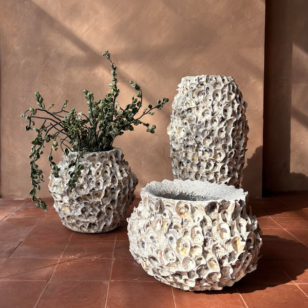 Oyster Shell Vessel - Empire Home