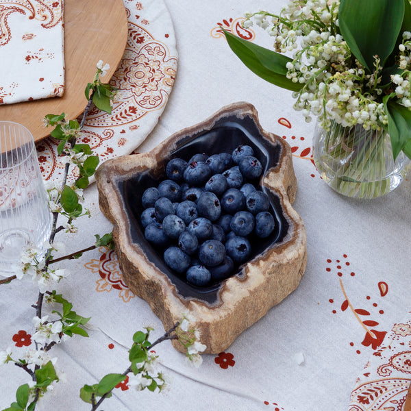 Fossil Asbak Bowl - Empire Home