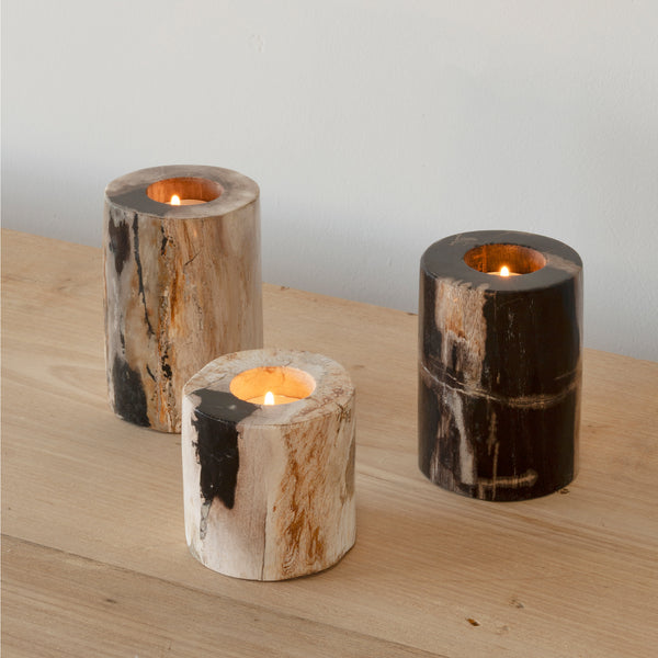 Fossil Votive - Empire Home