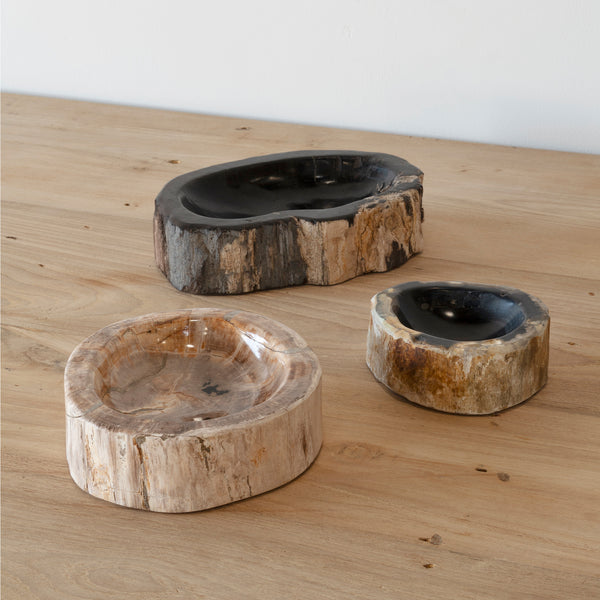 Fossil Asbak Bowl - Empire Home
