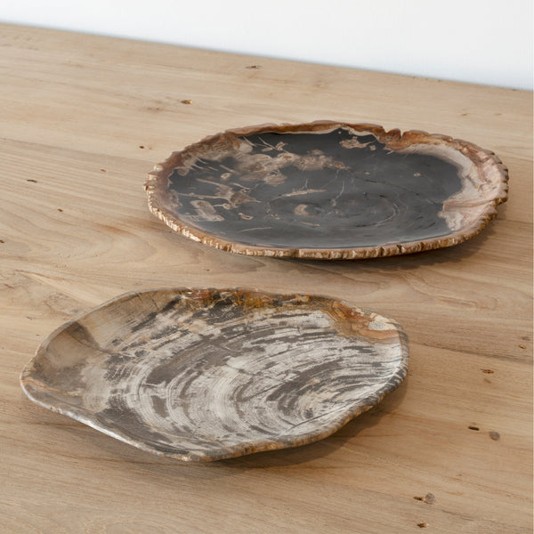 Fossil Plate - Empire Home