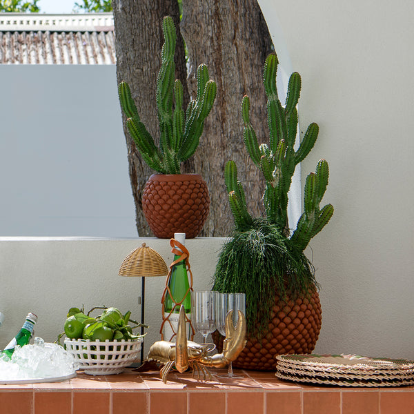 Faux Cactus — Nigel - Empire Home