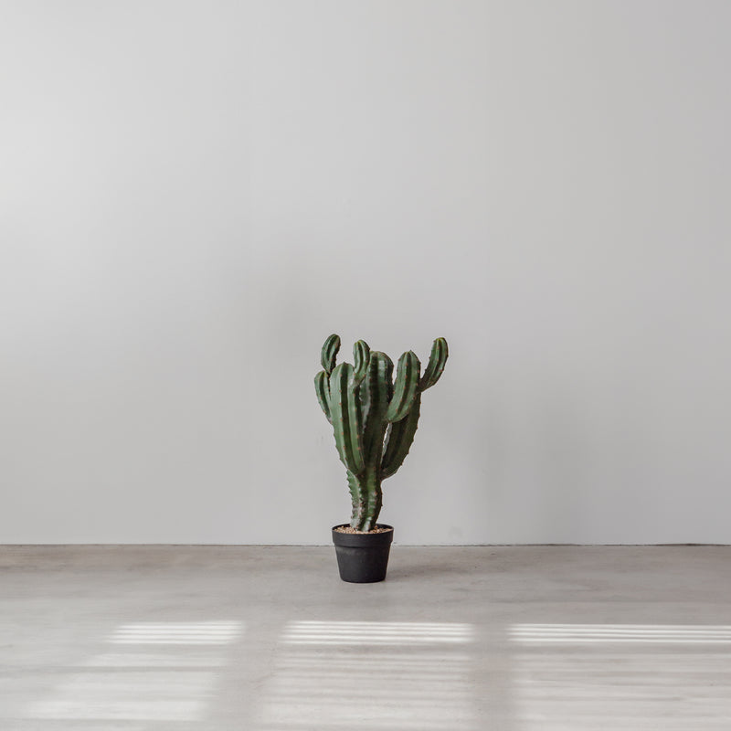 Faux Cactus — Bert - Empire Home