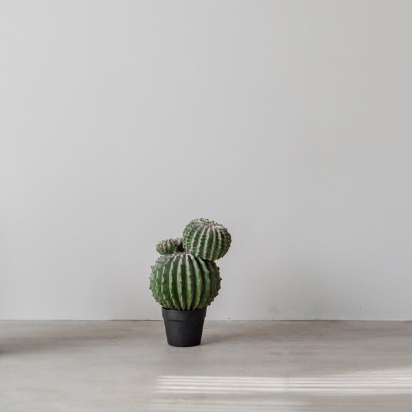 Faux Cactus — Bill - Empire Home