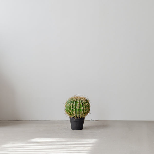 Faux Cactus — Bob - Empire Home