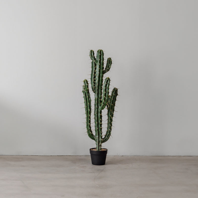 Faux Cactus — Frank - Empire Home