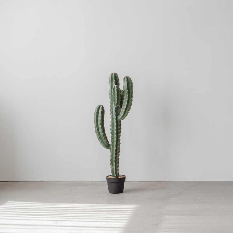 Faux Cactus — Fred - Empire Home