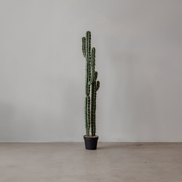 Faux Cactus — George - Empire Home