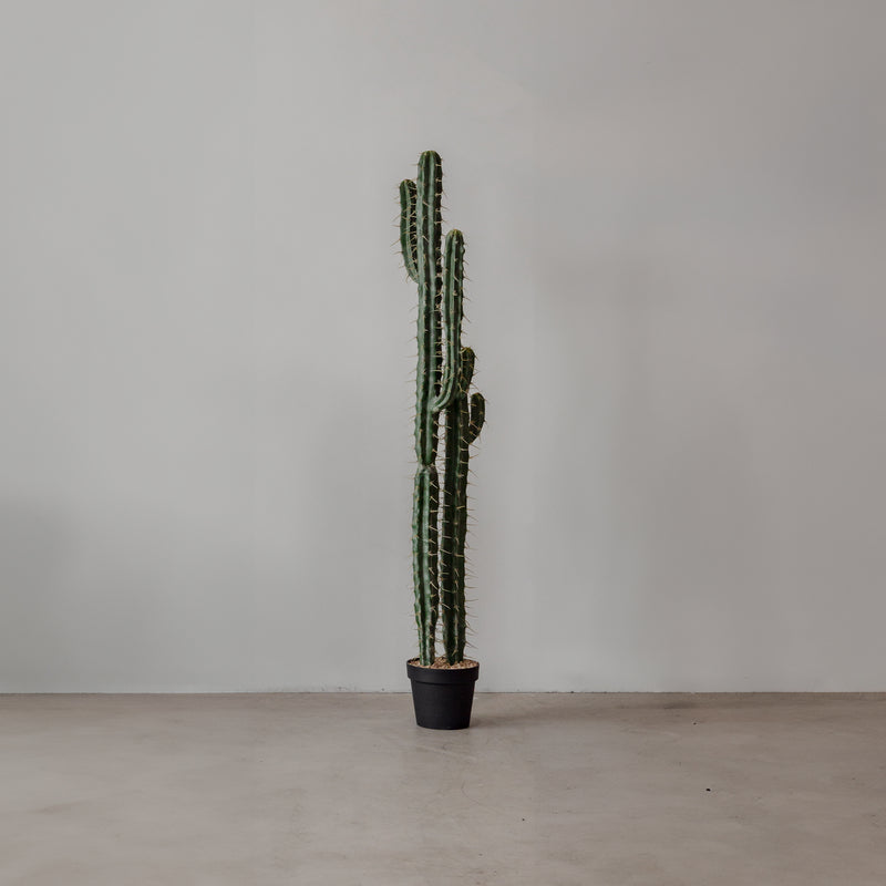 Faux Cactus — George - Empire Home