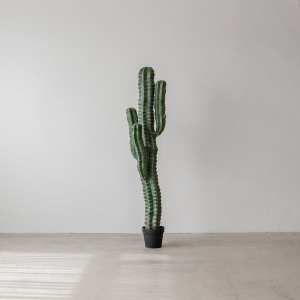 Faux Cactus — Jim - Empire Home