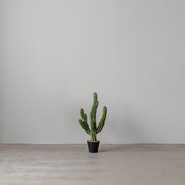 Faux Cactus — Nigel - Empire Home