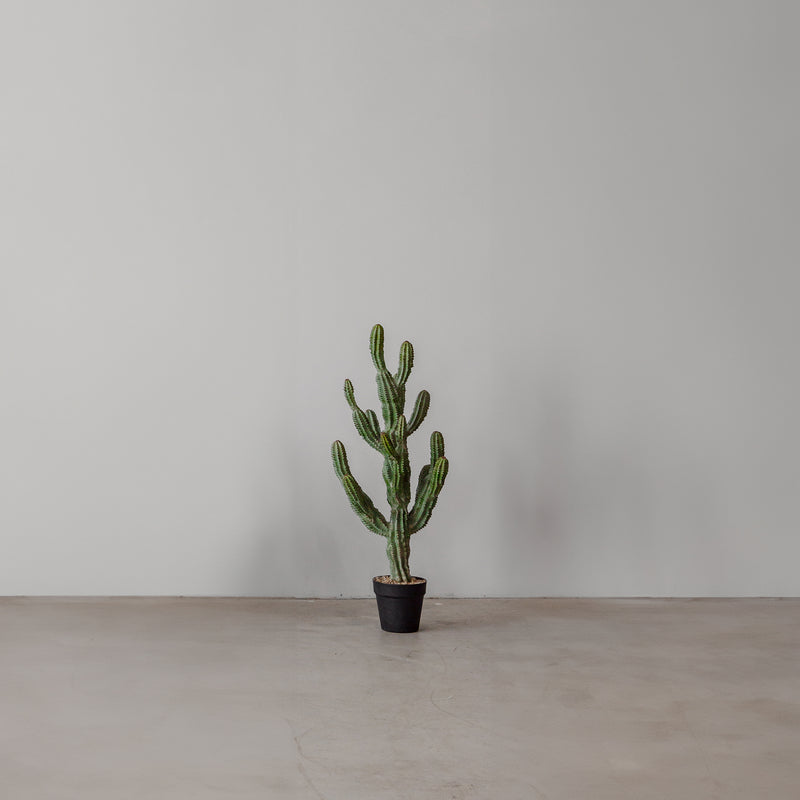 Faux Cactus — Norman - Empire Home