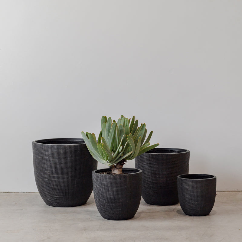 Formantera Egg Pot — Black Grid - Empire Home