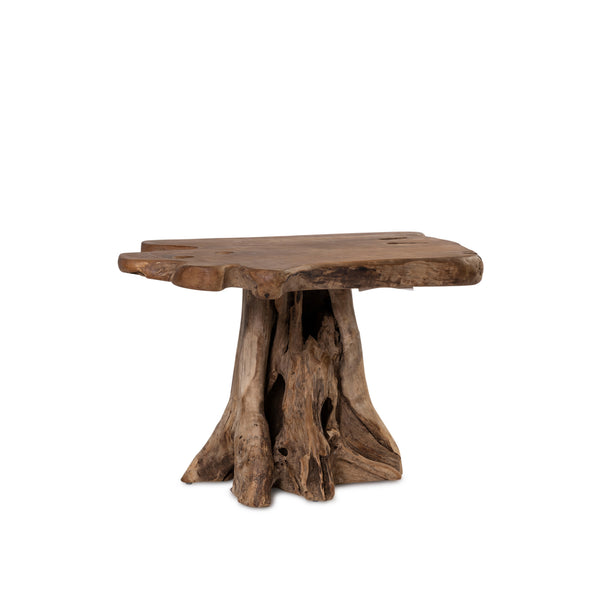 Fungi Coffee Table — Raw - Empire Home