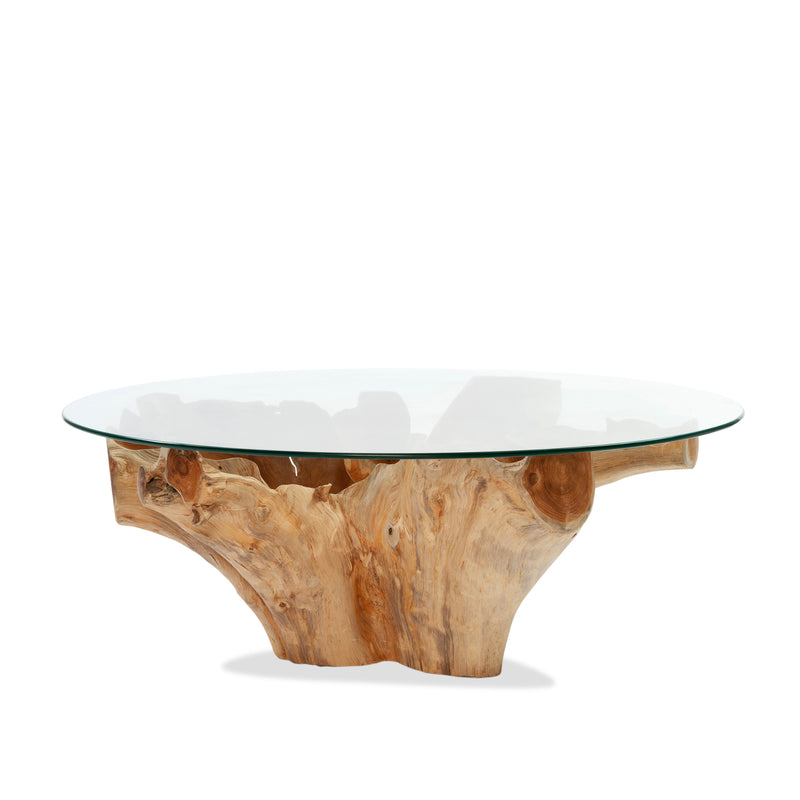 Root Glass Coffee Table - Empire Home